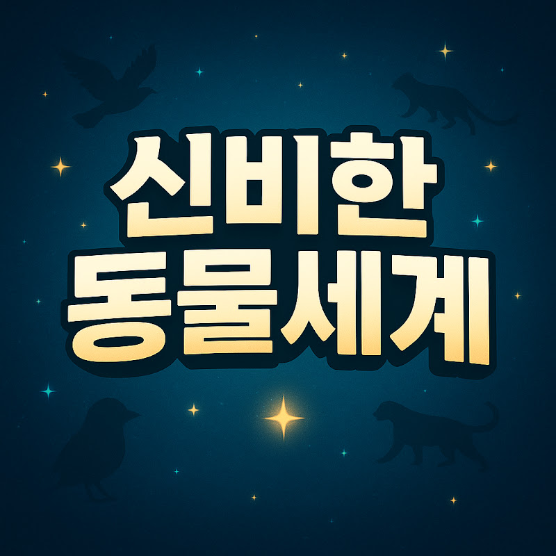 신비한 동물세계