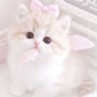 @chulove_16