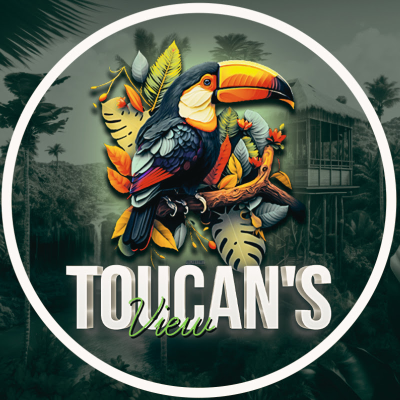 Toucan's View