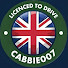 P0eFnt6YPEQ-channel-avatar-CabbieOO7 - London Taxi Driver