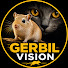 8pihDq-22pk-channel-avatar-Gerbil Vision