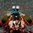@aquamind9996 Avatar