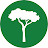 International Tree Foundation