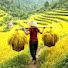 aK2Y6bhxrnE-channel-avatar-RURAL LIFE 86