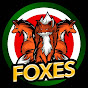 IRANIAN FOXES - روباه‌های ایرانی logo