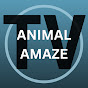 AnimalAmazeTV logo