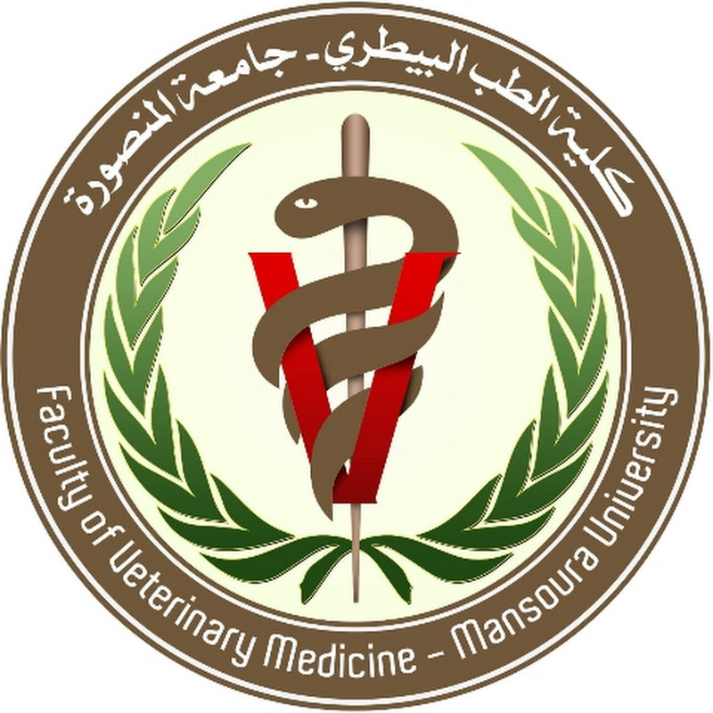 Dr:Hanaa Ehab🩺🐰