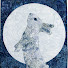 aDpWqY4u1iY-channel-avatar-Lapin-des-neiges