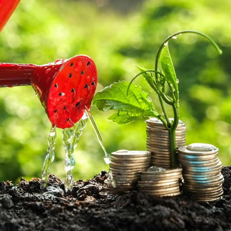 Diaspora Careers and Investments
