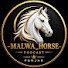LcWplbPb8dU-channel-avatar-_malwa_horse