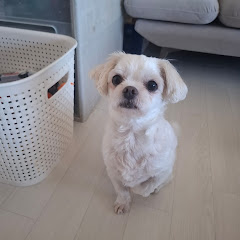 홀로키우는 아빠 👨 