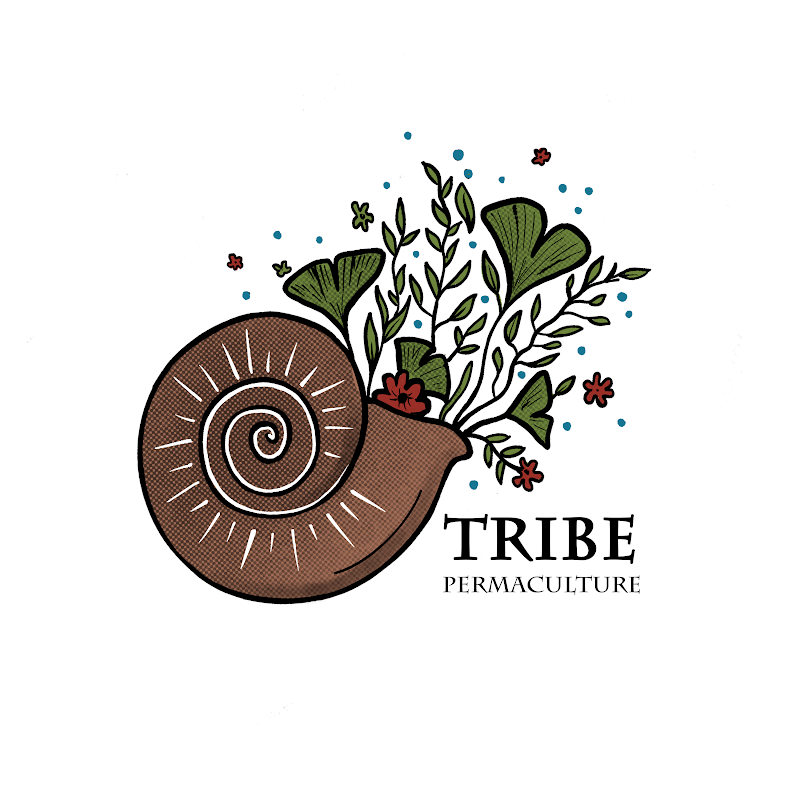 Tribe Permaculture