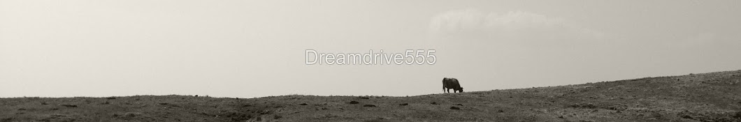 Dreamdrive555 YouTube 频道头像