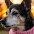 tRV3Qy8Zyhs-channel-avatar-Ms. Alice