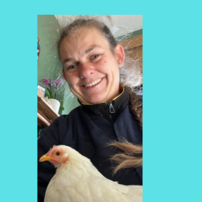 Hire The Goodmans chicken channel  — Pet Product Reviews YouTube creator for sponsorships