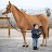 Jorgé Magarino The horse trading-breeding company