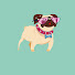 217Vsa9EQno-channel-avatar-Pug Snap TV