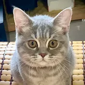 可愛いすぎるわ~It's cute and soothing