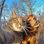 Star Animals