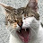 @Andreas-wh8uy