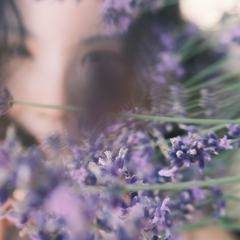 帮帮流浪记 Logo