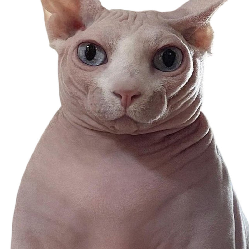 Ellmatias