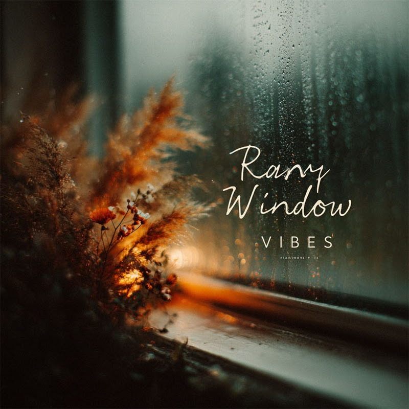 Rainy Window Vibes