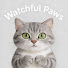 8kGUBQztMWY-channel-avatar-Watchful Paws  