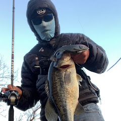 Merica Bassin