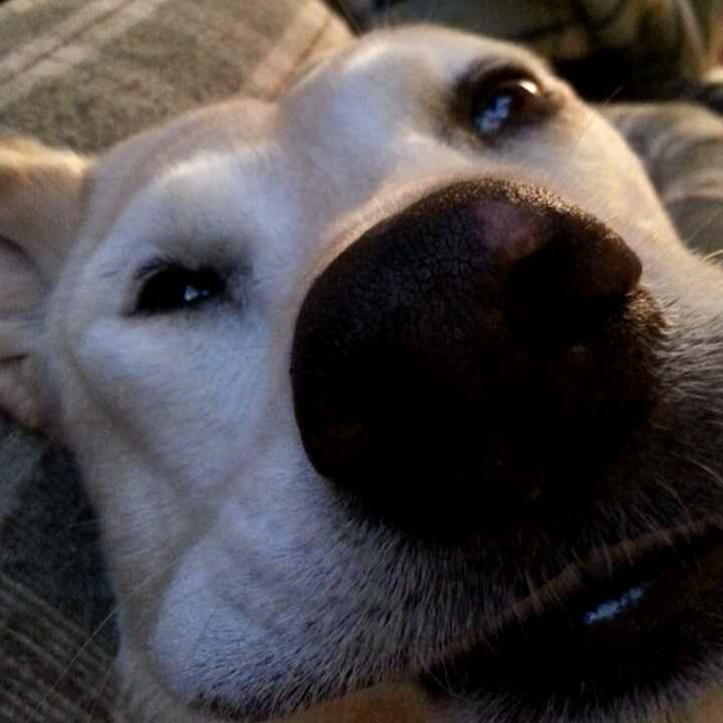 jeck
