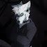 5yqPPrXSGf0-channel-avatar-Dog-Dogger Studio