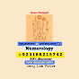 Amir Palmistry Numerology  logo