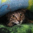 yfBGRTfhWHA-channel-avatar-JuanSA