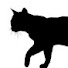 1qoMTFCjG3s-channel-avatar-のら猫