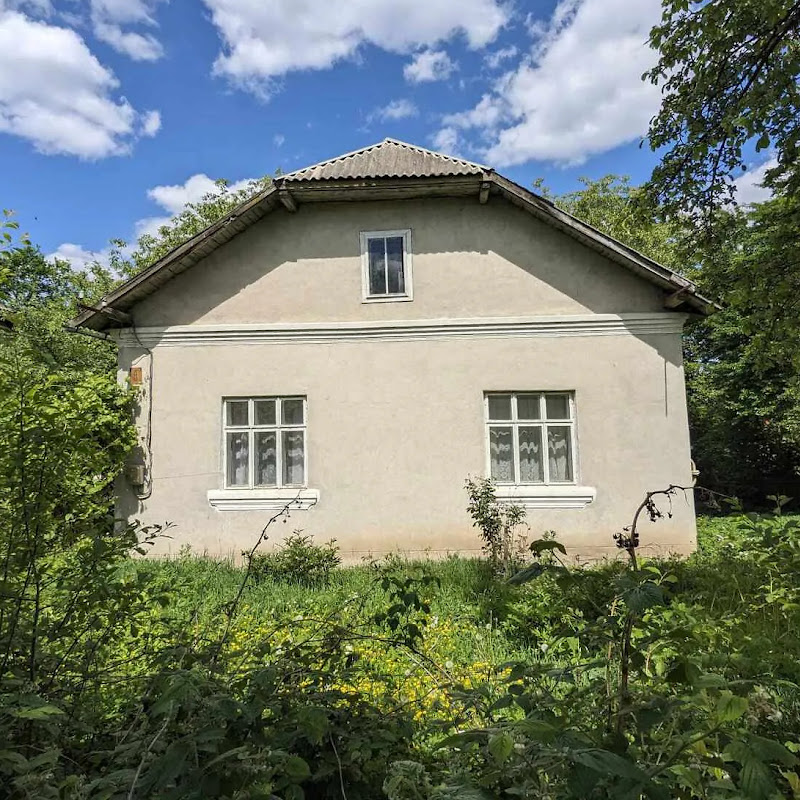 Будинок в селі