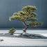 R02pbDsrT44-channel-avatar-Zenscape | Japanese Zen Music