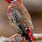 @bahaafrahat6719BeDoR