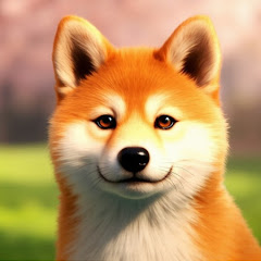 鸽子不要香菜