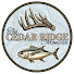 EfrytQahymg-channel-avatar-The Cedar Ridge Chronicles