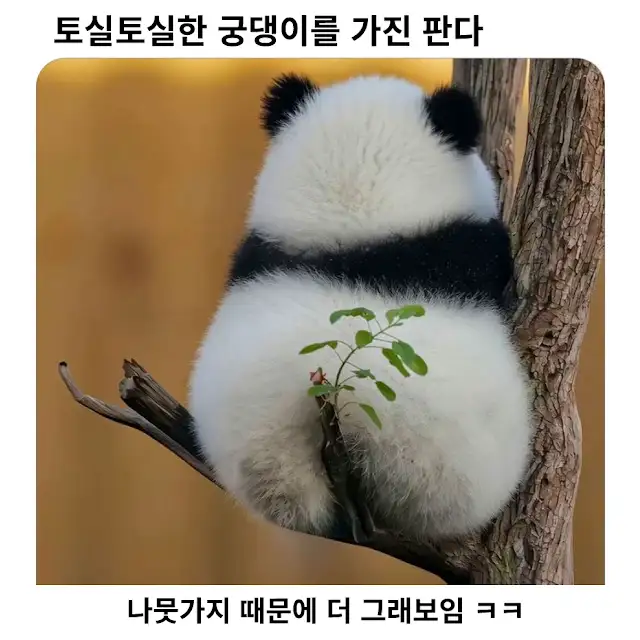 BlockNote image