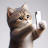 meow mow