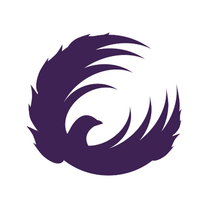 Lorna Jane Queensland Firebirds