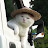 @혜민만렙-s7k