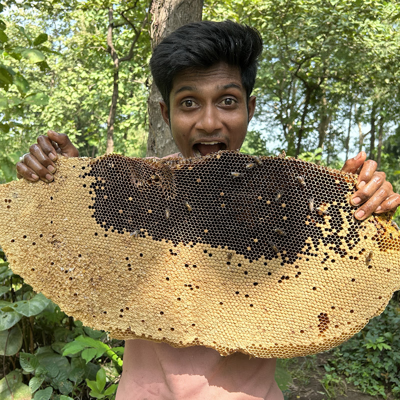 patel raju beekeeper