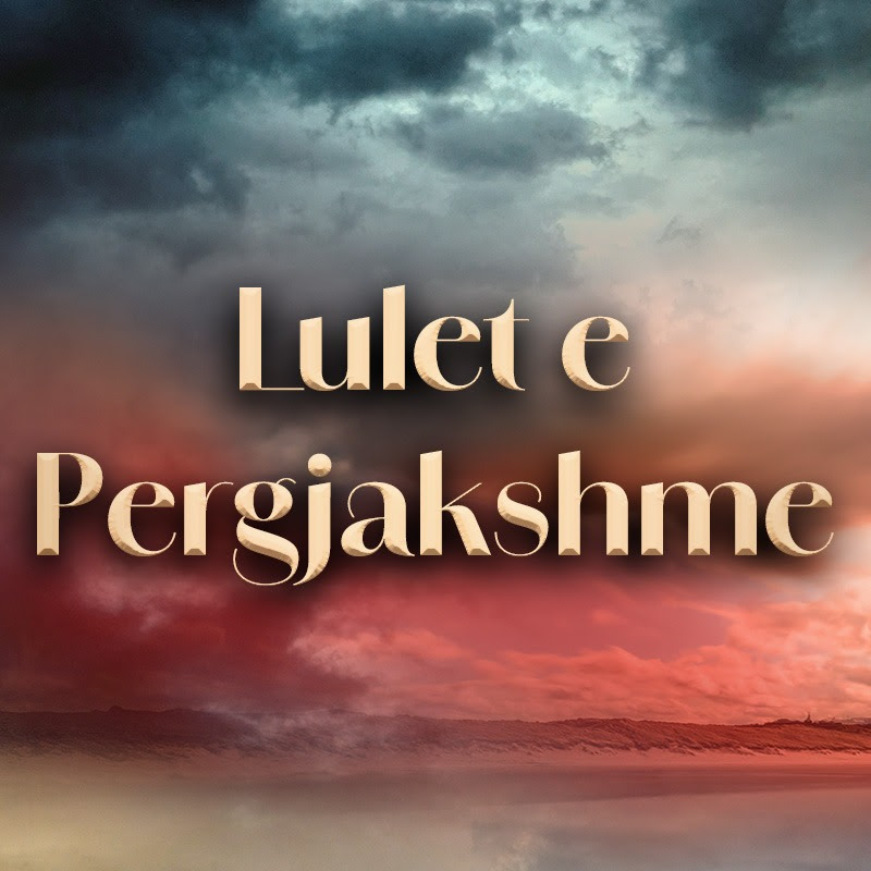 Lulet e Pergjakshme | Kan Çiçekleri