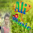 Ali Music 