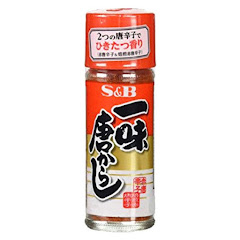 ロケット団の一味