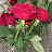 @قرانالكريم-م2ج