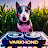 DJ VARKHOND