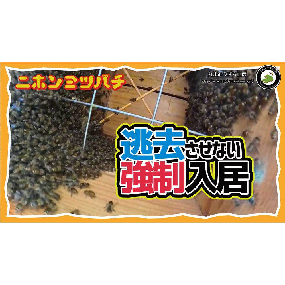 みつばちゆっちページ YouTube